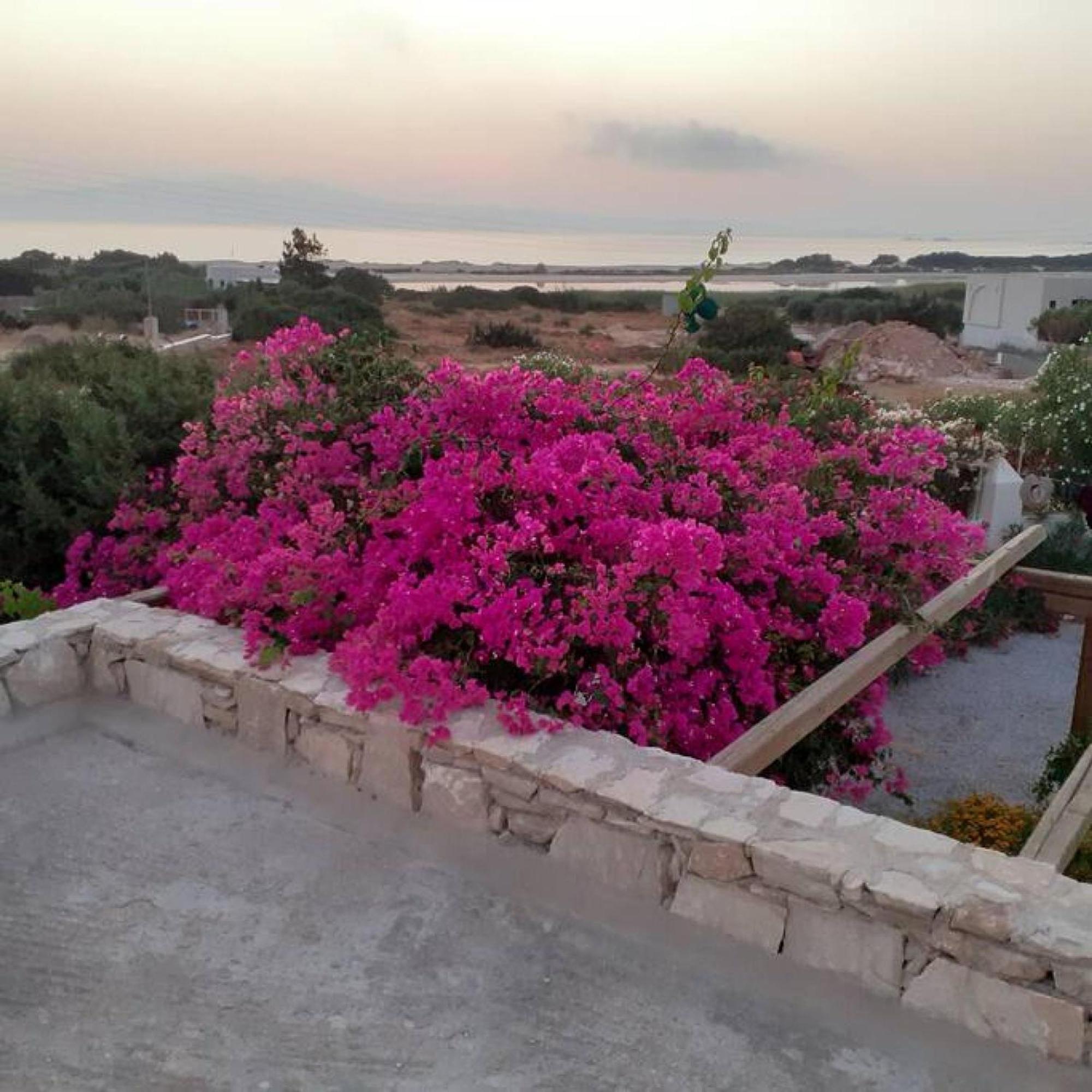 Naxos Alyko Traditional Vacation House "Mitatos" 阿里克海滩 外观 照片